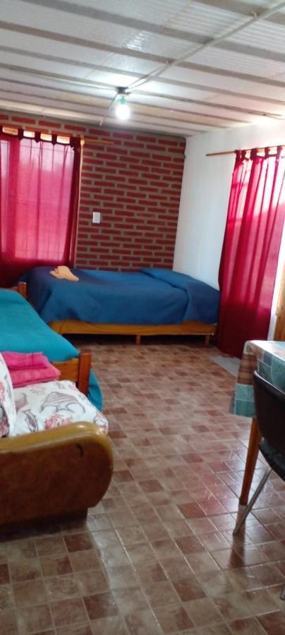 Apartment Calendulas Del Cabo Trevelin
